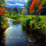 EnviroTip #8: Spend time noticing nature