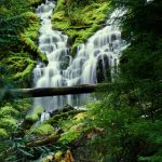 Meditation Resources