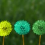 Benefits of Time Spent in Nature
