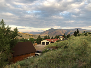 Read more about the article The Gift of Meditation: A Haven from the Heaviness