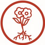 TRA Five Essentials - Nature - flower with two blossoms and roots