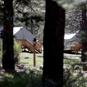 Liminal Spaces Retreat: A Strategic Planning and Resilience Workshop for the City of Flagstaff Sustainability Team @ Camp Colton
