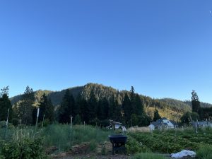 Read more about the article A New Year to Live the Question in Your Heart (With Poetic Abundance)