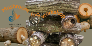Mushroom Log Workshop 🪵 @ Luke's House