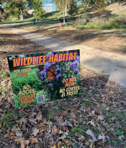 Pilgrim Center's Habitat Restoration @ Pilgrim Center