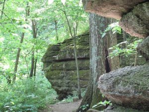 Limestone boulders perch on Bethany Falls Trail, Burr Oak Woods.