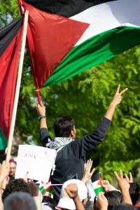Palestine Protester