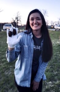 Briana Anderson prepares to release rehabilitated bats while two dangle from her hand at Lakeside Nature Center, Kansas City. Photo Credit: Briana Anderson