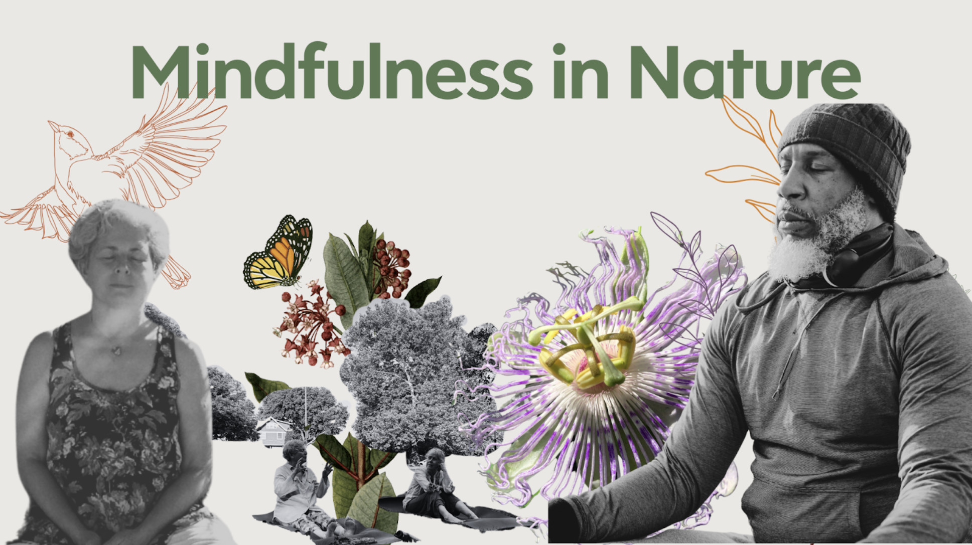 Mindfulness in Nature