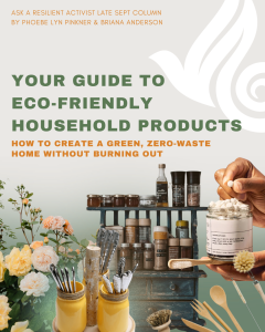 Read more about the article Your Guide to Eco-Friendly Household Products