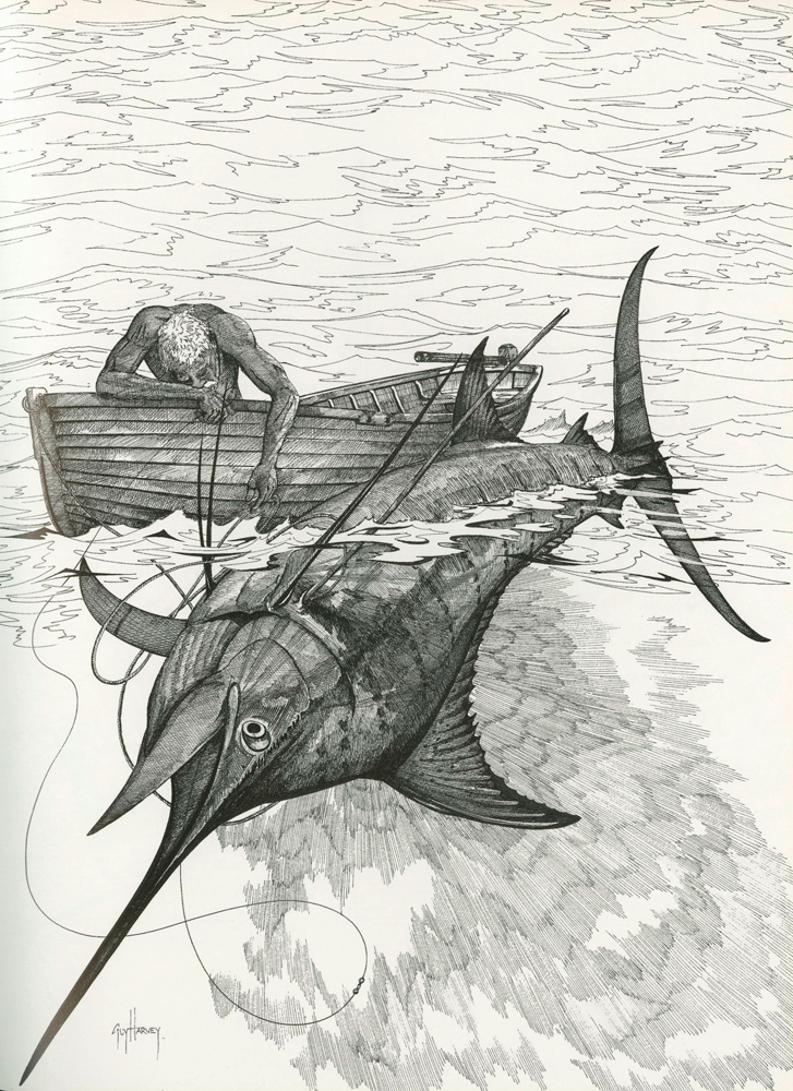 An artistic rendering portrays the exhaustive fight between Santiago and the merlin in Earnest Hemingway's seminal book, The Old Man and The Sea. Artist Credit: Guy Harvey