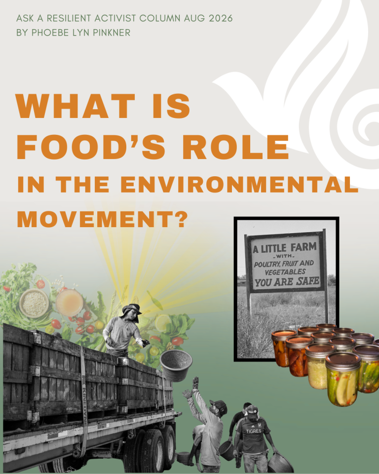 In life, few things connect us more than food. From the comforting scent of your mother’s homemade soup after a long day, to breaking bread with friends amidst the twilight hum of cicadas and laughter, food scarcely fails to nourish us and our relationships. This blog unpacks the role of food in the eco-movement.